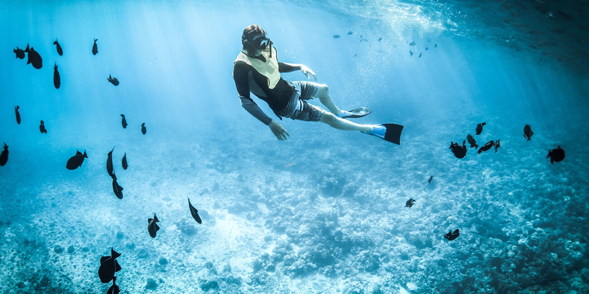 Illum architecto officiis unde quia