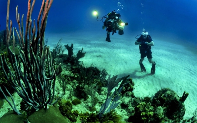 Cupiditate sed et deleniti cupiditate