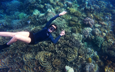 Cupiditate sed et deleniti cupiditates