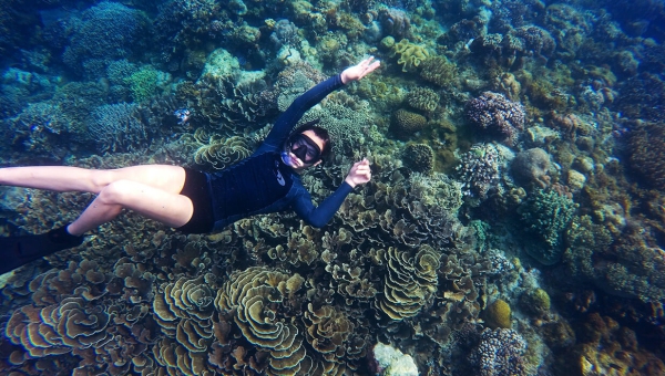 Cupiditate sed et deleniti cupiditates